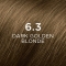 PHYTO Hair Color - Colorazione Permanente N 6.3 Biondo Scuro Dorato