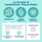 Lactoflorene Pancia Piatta 10 Bustine - Integratore Per La Flora Batterica Intestinale