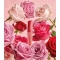 Red Touch - Rossetto Matte N. 13 Rosy Brown