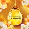LENOR Oro E Fiori Di Vaniglia - Ammorbidente Concentrato 86 Lavaggi