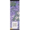 Flora Gorgeous Magnolia - Eau De Parfum Donna 30 ml Vapo