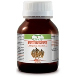 Cordifungus 60 Capsule - Integratore Per Le Vie Respiratorie