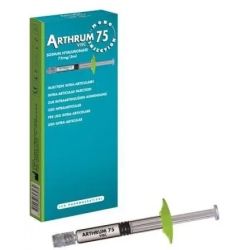 Arthrum Visc 75 Siringa Intrarticolare Pre-riempita 3 ml - Viscosupplementazione Articolare
