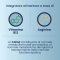 Meamemor 15 Flaconcini - Integratore Per Memoria E Funzioni Cognitive