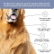 Bau Cosmesi Gel detergente senza risciacquo per cani alla lavanda 250 ml