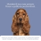 Bau Cosmesi Gel detergente senza risciacquo per cani alla lavanda 250 ml