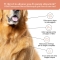 Bau Cosmesi Gel detergente senza risciacquo per cani alla pesca 250 ml
