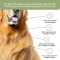 Bau Cosmesi Gel detergente senza risciacquo per cani alla mela 250 ml