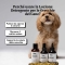 Bau Cosmesi Lozione detergente orecchie per cani 100 ml