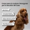 Bau Cosmesi Lozione detergente orecchie per cani 100 ml