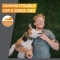 Frontpro 11,3mg - 3 Compresse Masticabili per cani 2-4 Kg