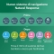 Avent Natural Response - Biberon in vetro 125 Ml