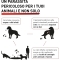 Panacur 250 Mg - Farmaco Veterinario Antiparassitario 10 Compresse