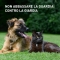 Panacur 250 Mg - Farmaco Veterinario Antiparassitario 10 Compresse