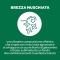 BOROTALCO Puro Profumo Di Brezza Muschiata - Deodorante 48h Spray 150 ml