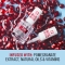 RIMMEL Nail Nurse - Trattamento Unghie 7 In 1 Base E Top Coat