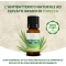 Optima Naturals Tea Tree Oil - Olio Essenziale 100% Puro 10 Ml