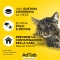 AdTab Gatto 2-8 Kg - Anti Pulci e Zecche 3 Compresse Masticabili