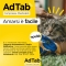 AdTab Gatto 2-8 Kg - Anti Pulci e Zecche 3 Compresse Masticabili