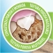 PURINA Dentalife - 5 Stick per l'igiene orale dei cani Taglia Medium
