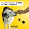 AdTab 225 Mg 5,5-11 Kg - Trattamento Anti Pulci E Zecche Per Cani 3 Compresse