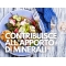 Active Nutrient Magnella 28 Compresse - Integratore Di Magnesio E Vitamina B6