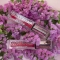 Gloss Affair - Gloss Rimpolpante N. 003 Muffin