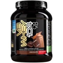 Moldes Net Integratori VB Whey 104 9.8 Cioccolato - Integratore di proteine in polvere 450 gr