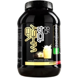 Moldes Net Integratori VB Whey 104 9.8 Vaniglia - Integratore di proteine in polvere 900 gr