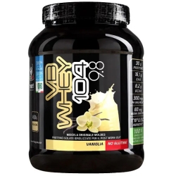 Moldes Net Integratori VB Whey 104 9.8 Vaniglia - Integratore di proteine in polvere 450 gr