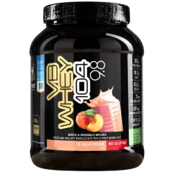 Moldes Net Integratori VB Whey 104 9.8 Tè alla pesca - Integratore di proteine in polvere 450 gr