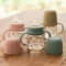 Suavinex My Family - Biberon First con manico e beccuccio in silicone - Pistacchio