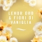 LENOR Ambipur 3Volution - Diffusore elettrico + Ricarica Oro e Fiori di Vaniglia