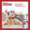 FRONTLINE Homegard - Spray Insetticida E Acaricida Domestico 250 Ml