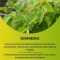 Gimnema 100 capsule - integratore per il metabolismo dei carboidrati