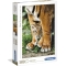 Ginger Cat 30415 - Puzzle da 500 pezzi