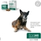 Condrostress Mobility 90 Chews - Mangime complementare per cani