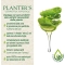 Planter S shampoo volumizzante all' aloe vera con balsamo per capelli fini e fragili 200 ml