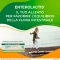Enterolactis bevibile 12 flaconcini 10 ml - integratore di fermenti lattici