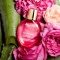 CLARINS Fix Make-up - Spray Idratante Fissatore Del Maquillage 50 ml