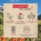 CLARINS Fix Make-up - Spray Idratante Fissatore Del Maquillage 50 ml