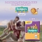 PAMPERS Progressi - 23 Pannolini con Rete Super-Assorbente Taglia 4 Maxi (7-18kg)
