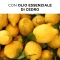 PHYTO Cédrat - shampoo purificante seboregolatore 250 ml