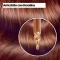 Colorsilk Beautiful Color - Tinta Per Capelli N.44 Castano Ramato Medio