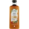 Olio di Moringa - Shampoo per capelli crespi 250 ml