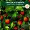 Fragola e Menta - Balsamo Purificante E Idratante 200 Ml
