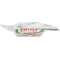 FAIRY Platinum Plus All-in-one limone - 13 capsule per lavastoviglie