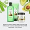 Puro Aloe + Olio Di Avocado - shampoo senza solfati per capelli secchi 225 ml