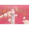 5 In 1 Essence Prime Liquid - Primer Viso 65 ml