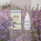 I Provenzali Siero Viso Multiattivo Biologico 30 Ml (Confezione ammaccata)